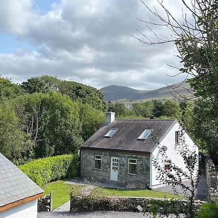 Bryn Rhedyn Cottage Cwm-y-glo Exterior photo
